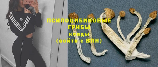 метадон Лабытнанги